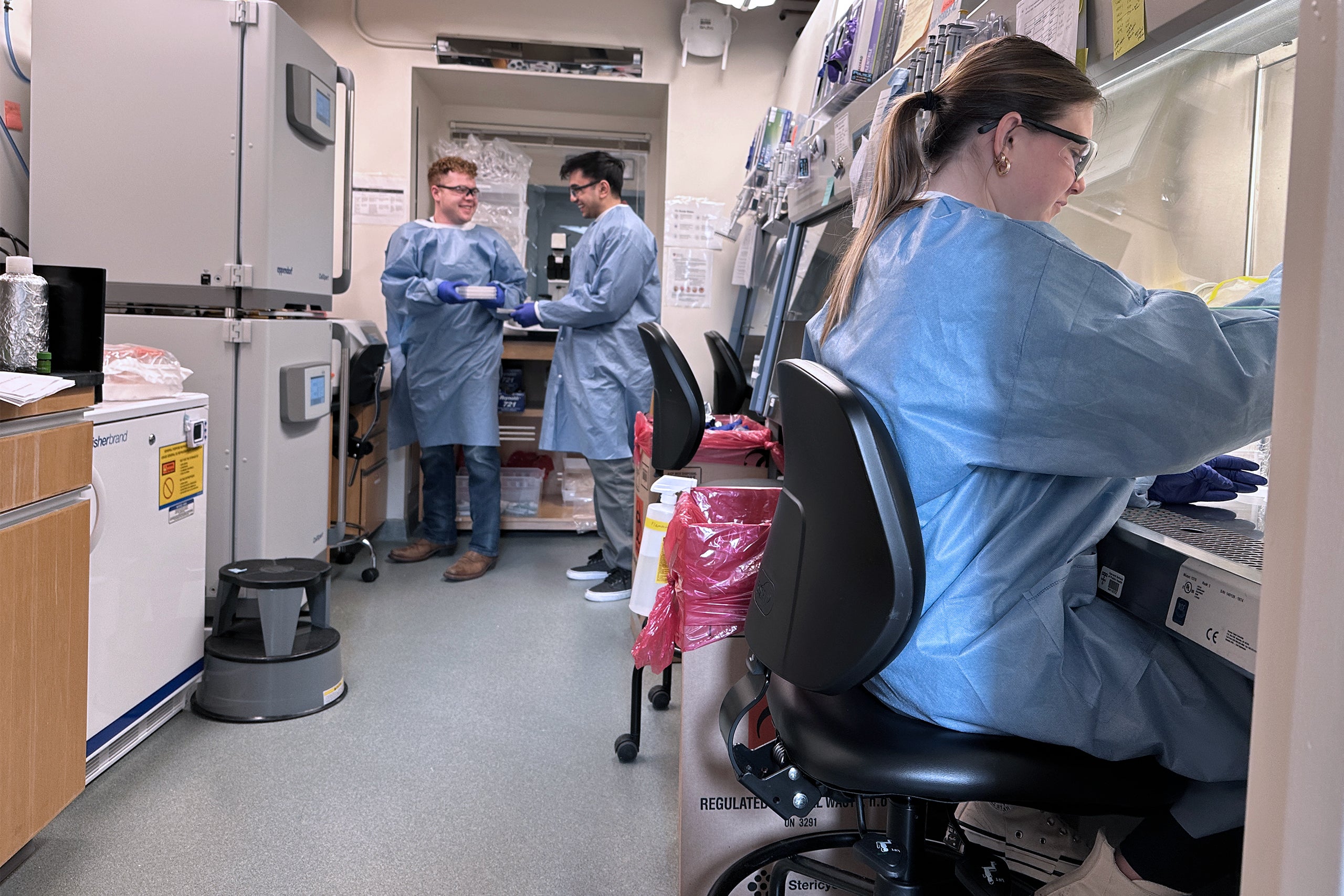 McNamara Lab, Sebastian Ricketts, Aayush Patel and Lindsay McManus