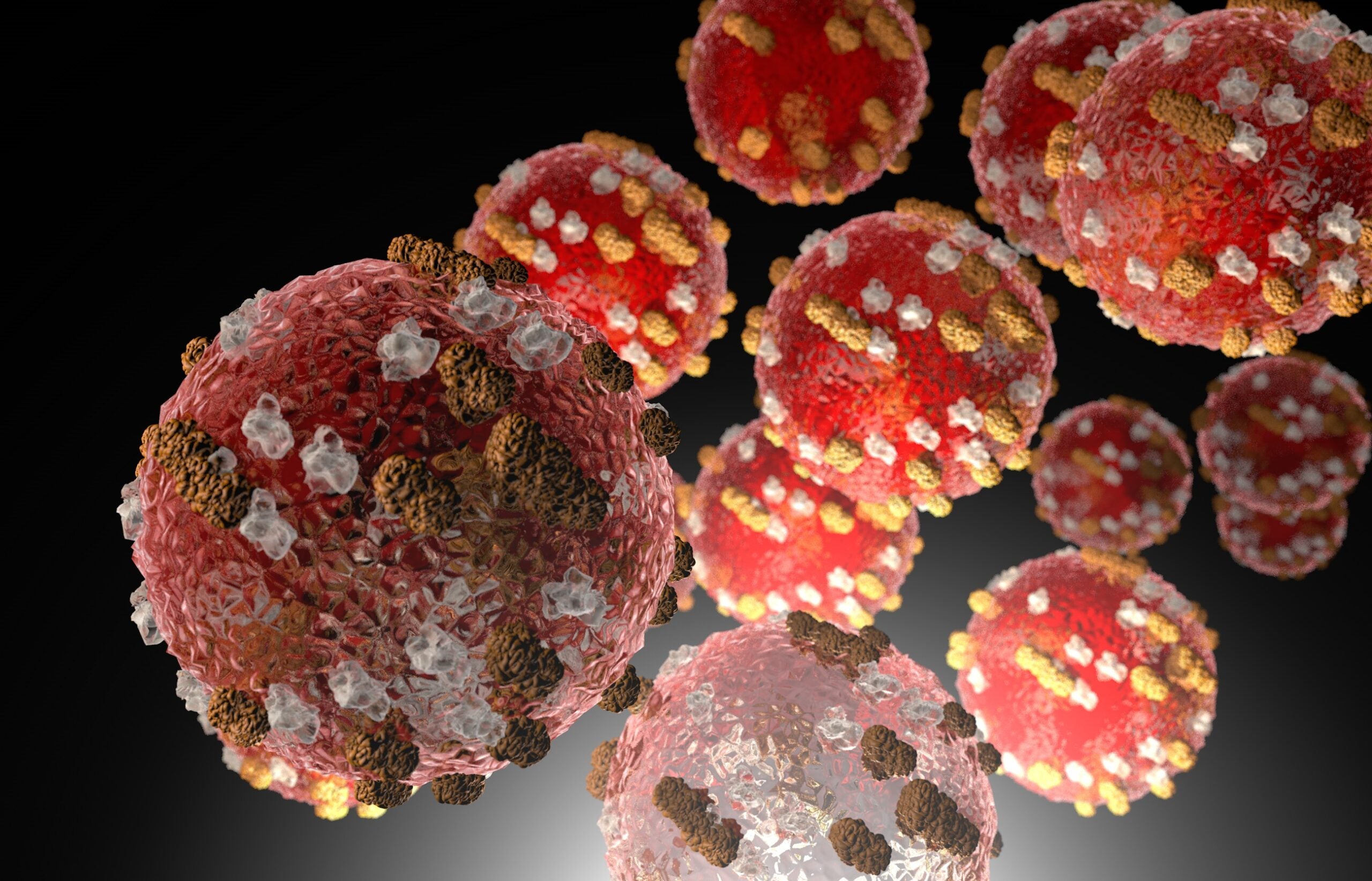 A rendering of measles virus cells