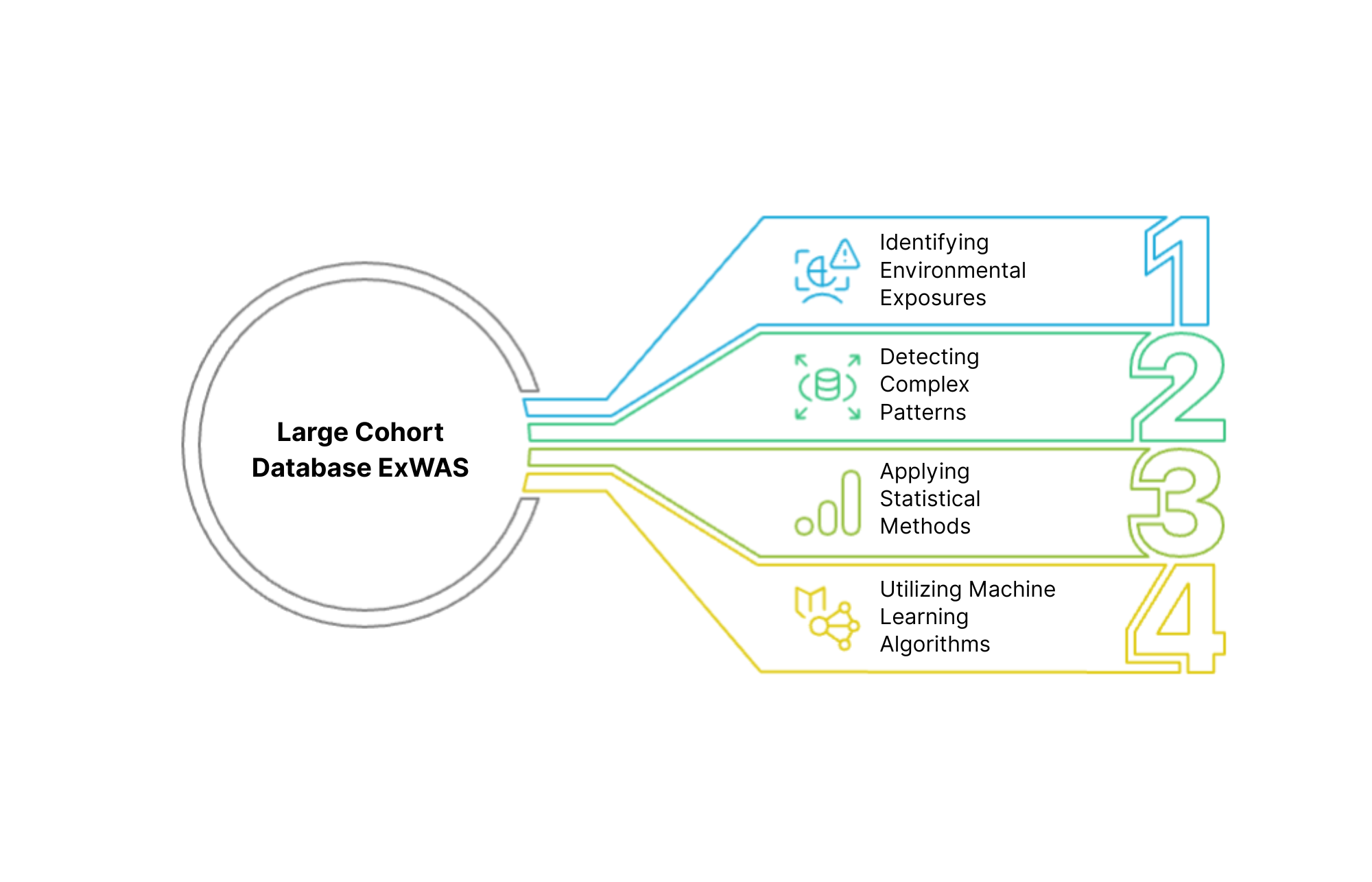 Diagram of Large Cohort Database ExWAS's 4 core components: 1) Identifying Environmental Exposures, 2) Detecting Complex Patterns, 3) Applying Statistical Methods, 4) Utilizing Machine Learning Algorithms.