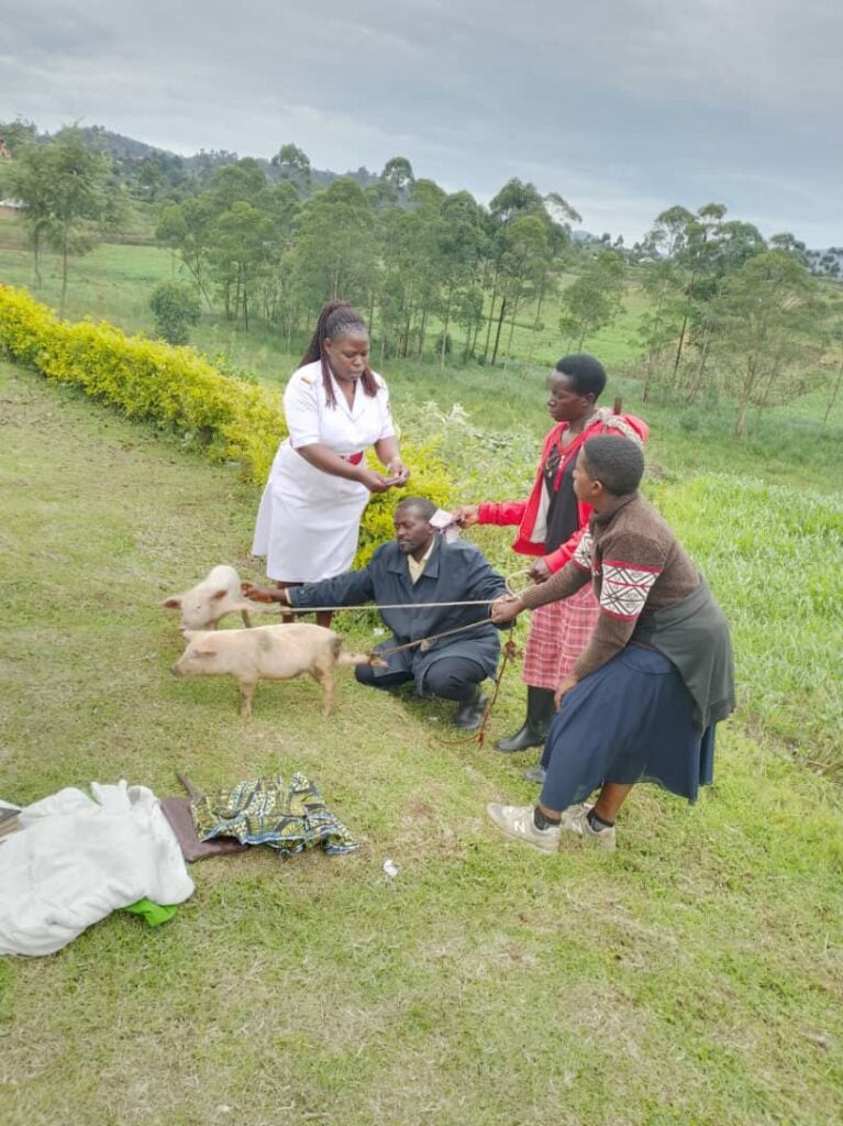 Others coming for Piglet inspection and collection of money with the Overseer of the entire group