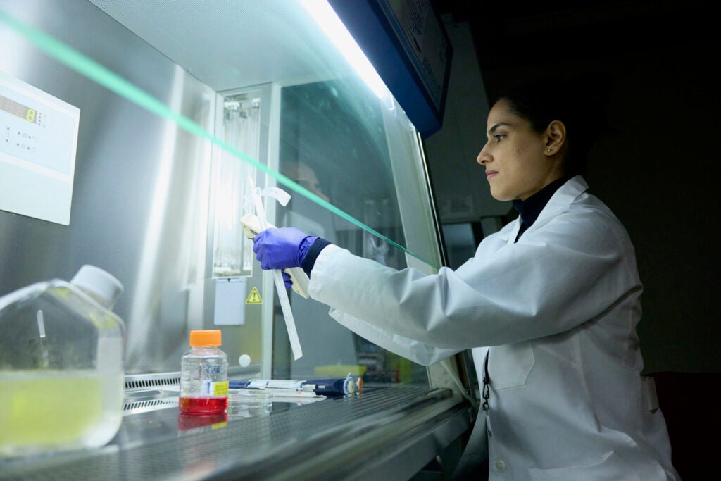 A scientist in a white lab coat and purple gloves works with equipment under a culture hood.