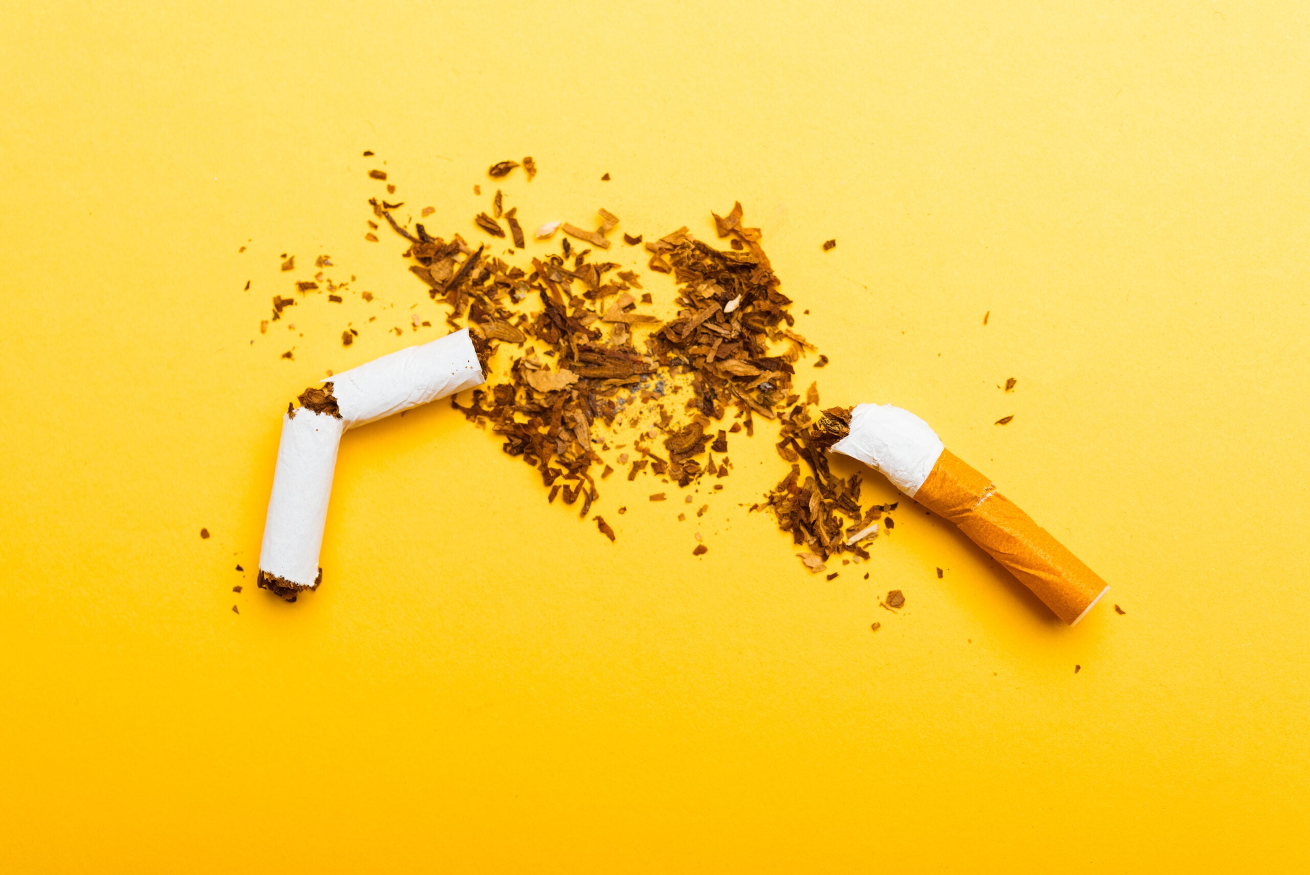 Two crushed cigarettes atop a bright backdrop.