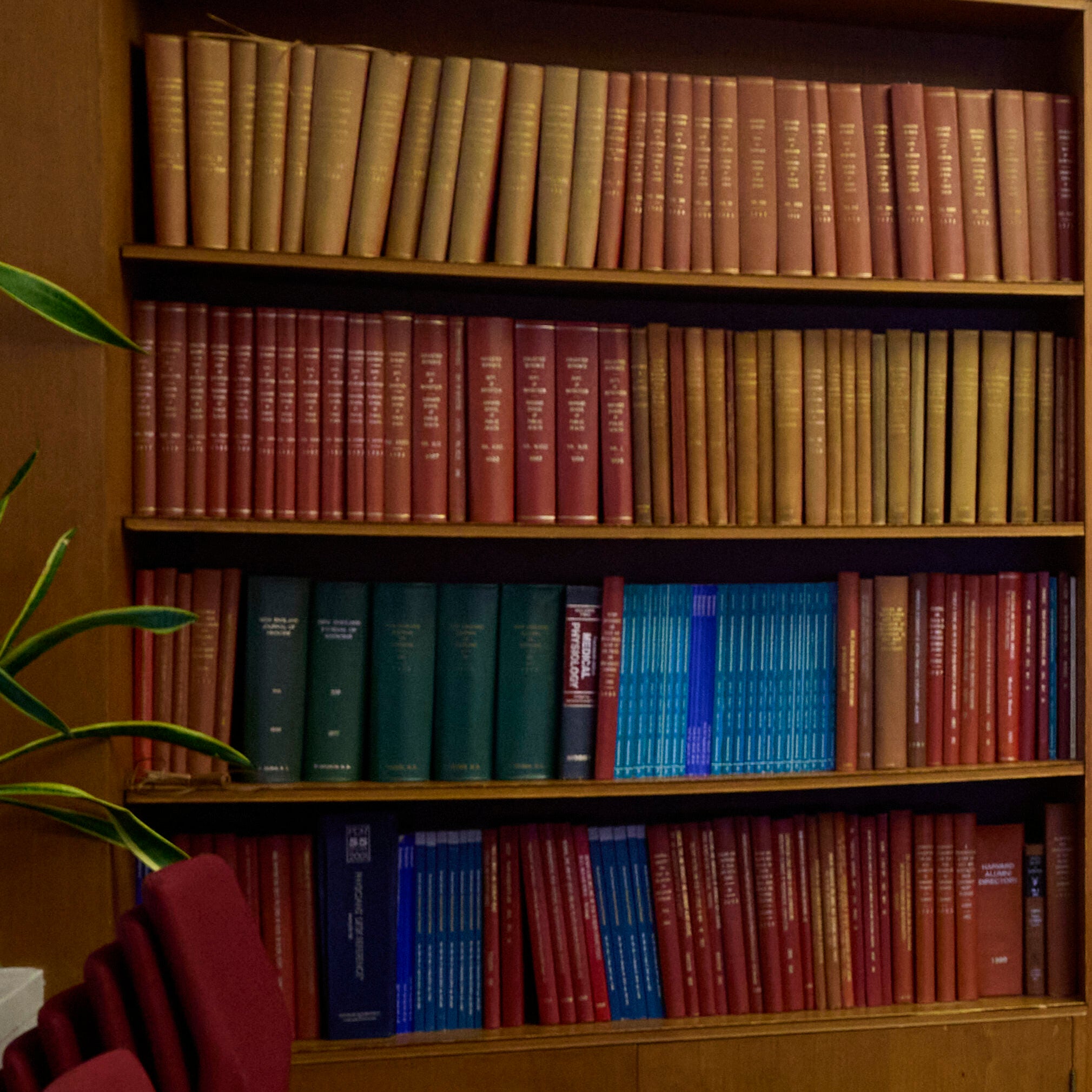 A four-shelf bookcase holds series of volumes dusty gold, pale orange, rich crimson, deep green, and medium blue. A stack of chairs and a few plant leaves are visible to the left.