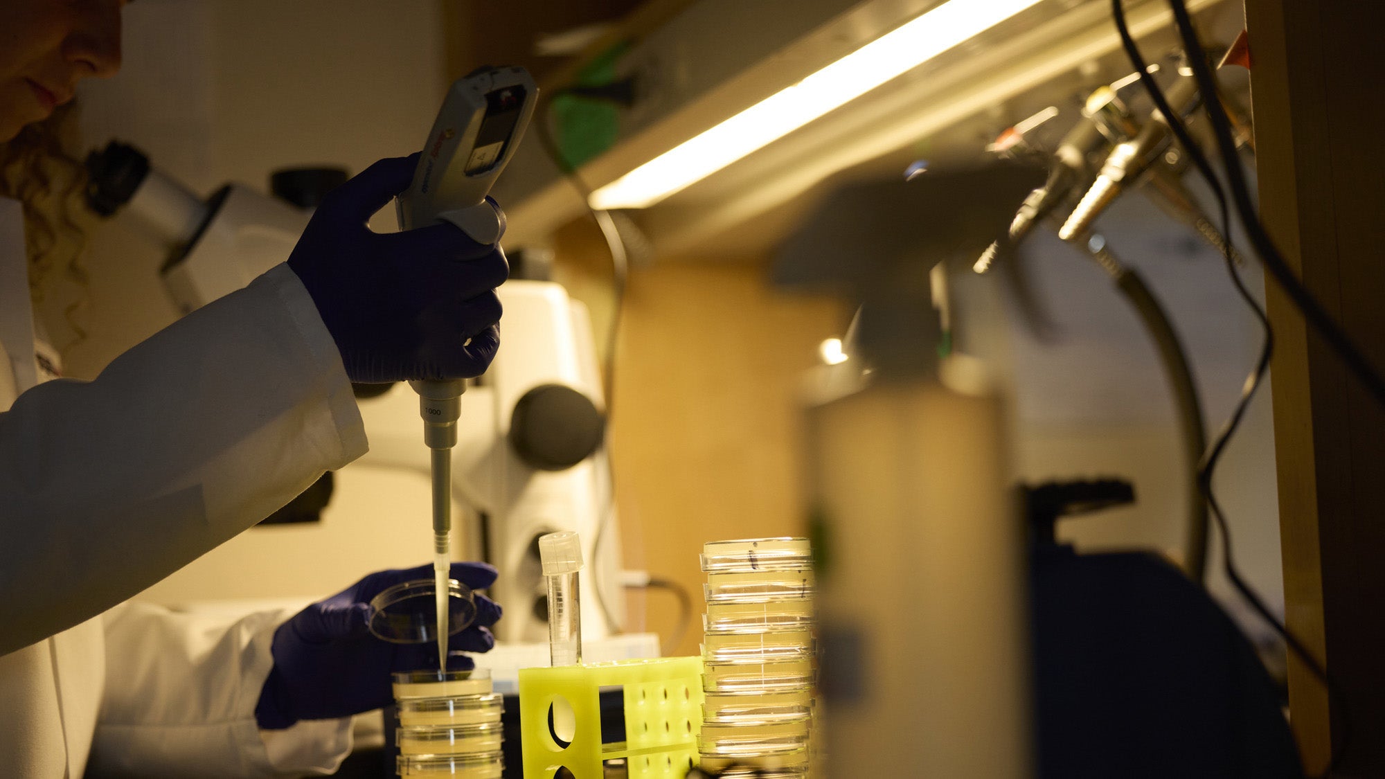 A researcher working in a lab.