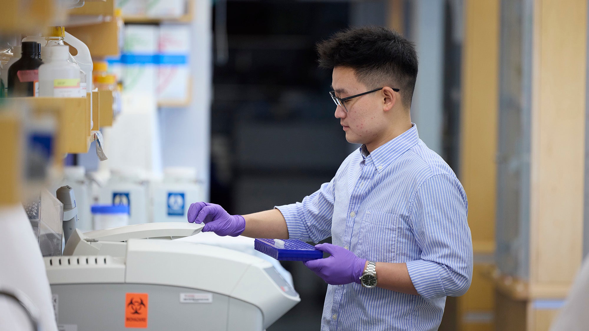 Researcher in the Hotamışlıgil lab