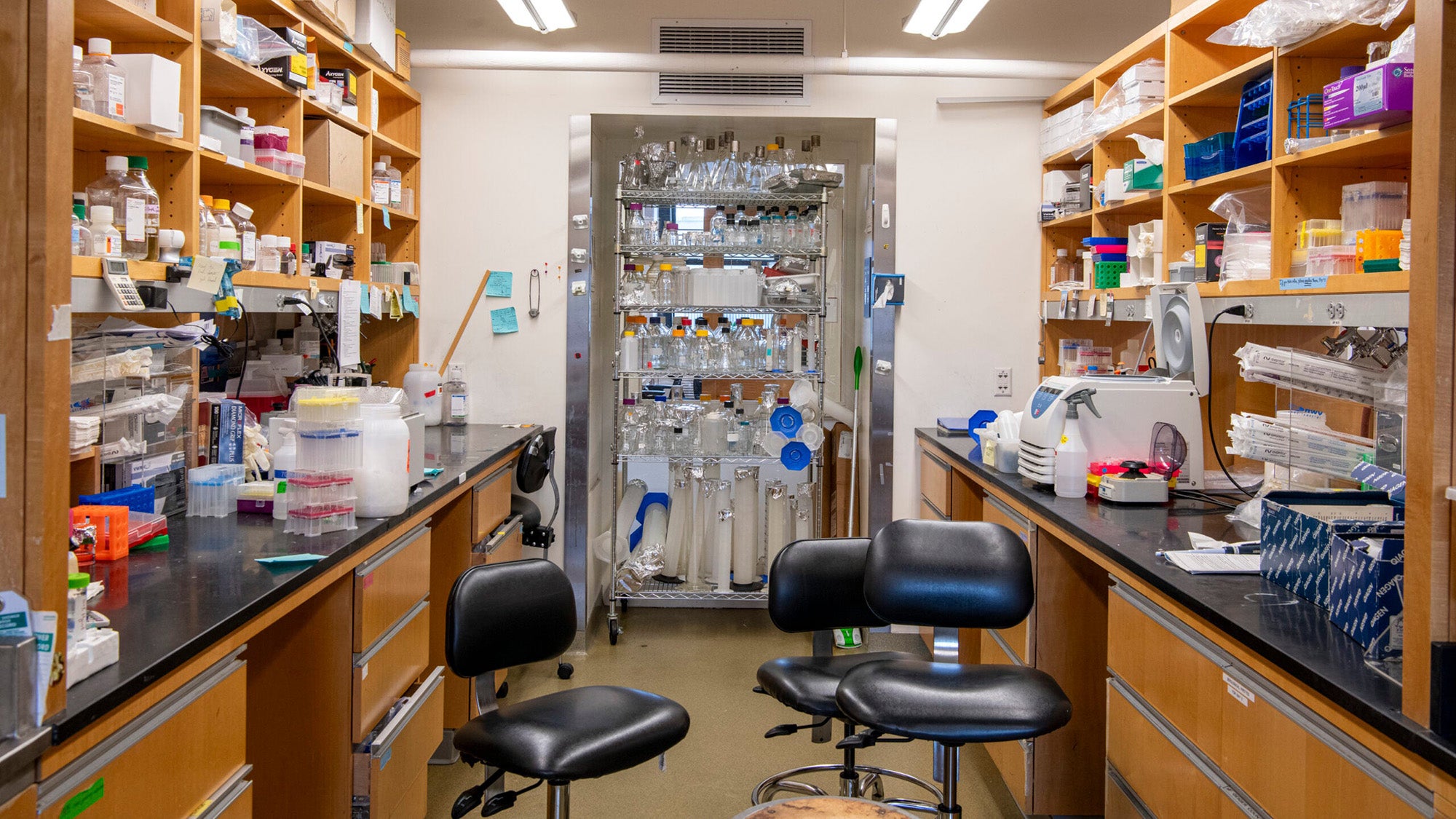 Lab benches, part of the Immunology and Infectious Diseases Department