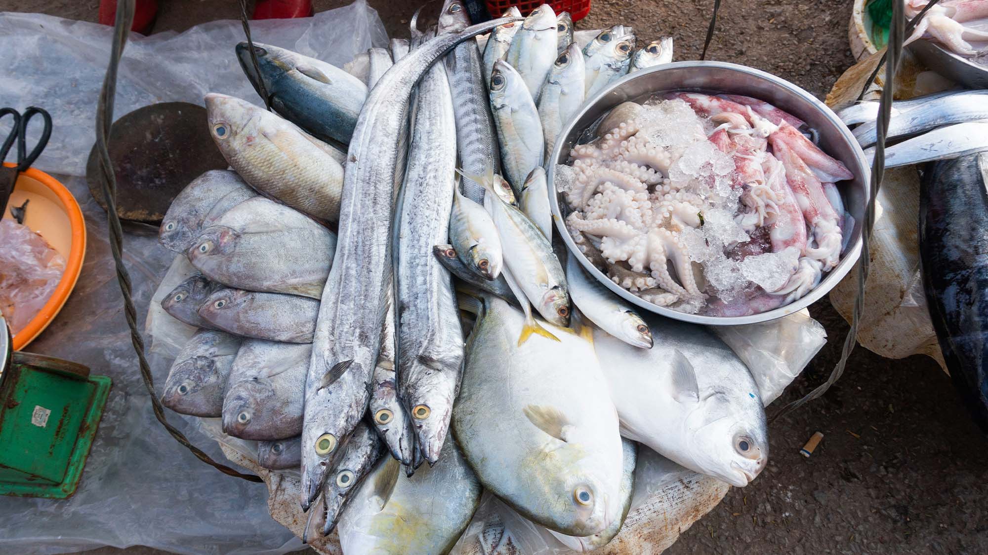 Raw fish at a market.