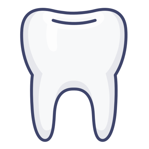 diagram of a tooth