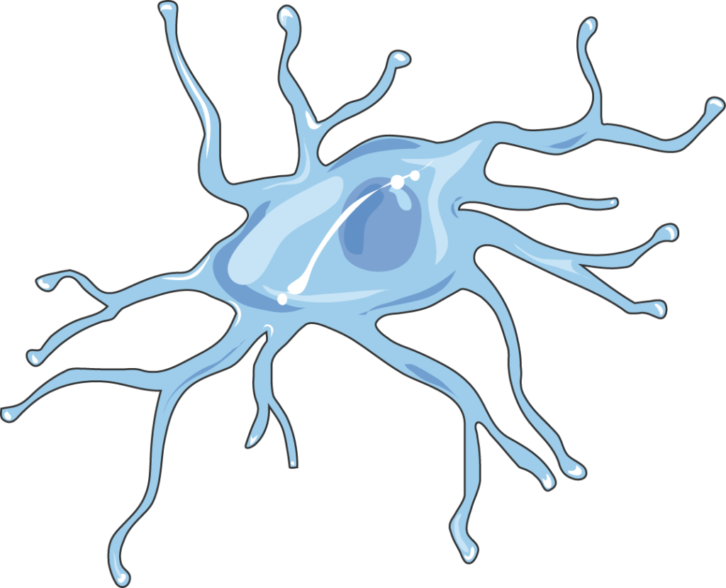 diagram of a microglial cell