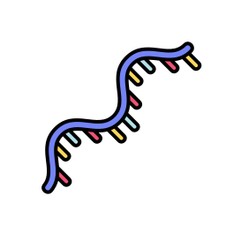 colorful diagram of a single strand of microRNA