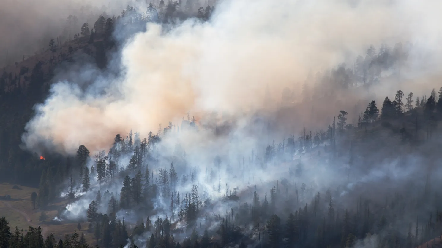 Photo of smoke from a forest fire.