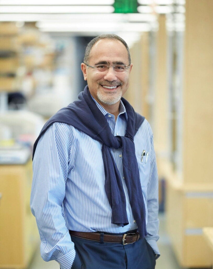Professor Gokhan Hotamisligil