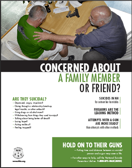 gun shop poster
