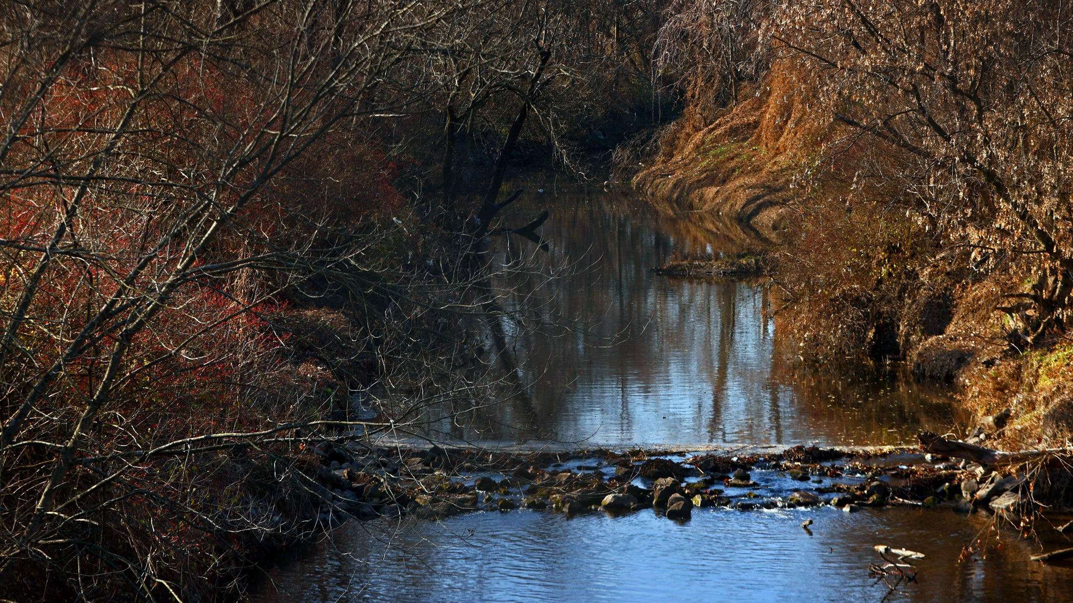 Coldwater Creek in suburban St. Louis