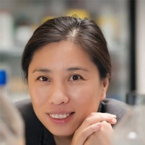 Haiyan Xu
