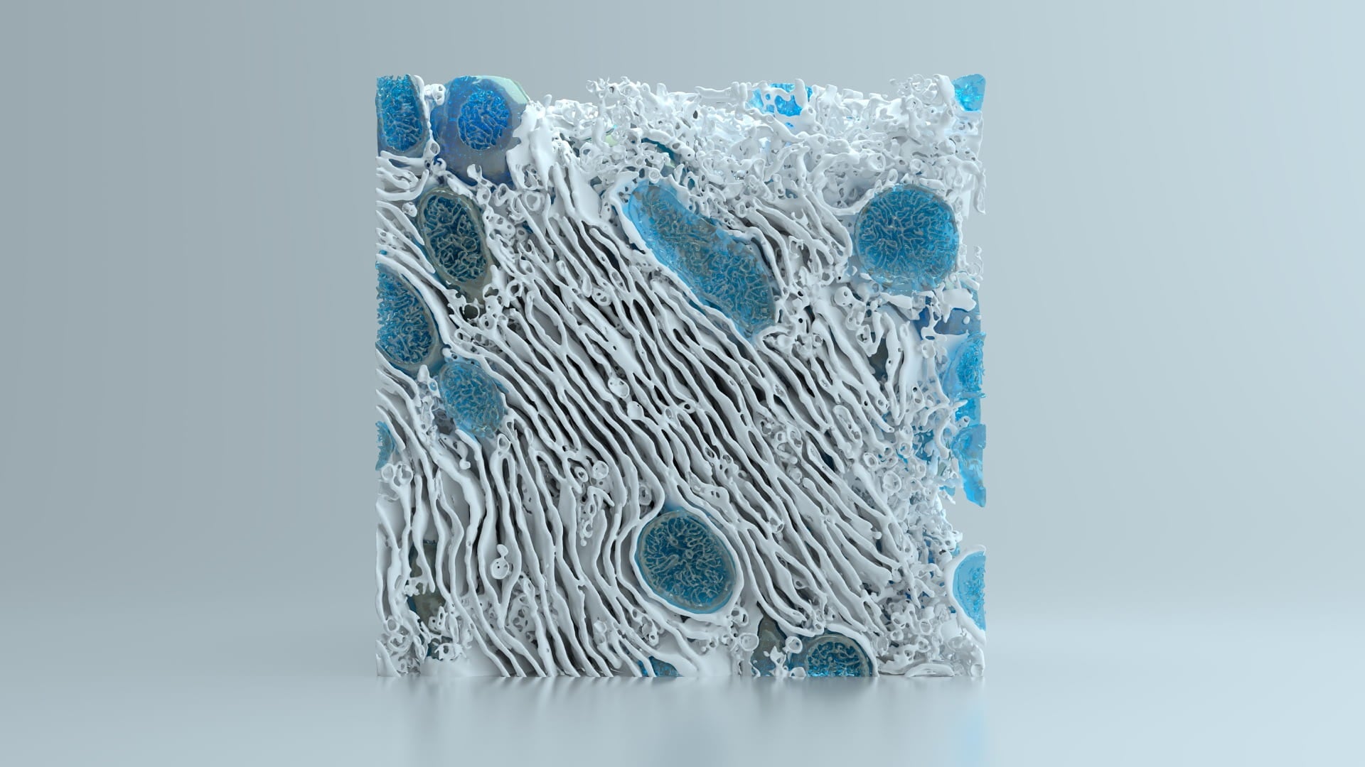 3D print of Cell demonstrating cellular architecture