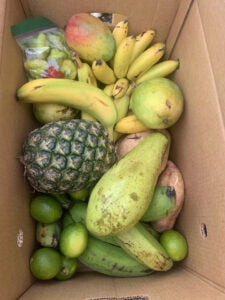 Produce in a box.