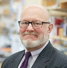 David Hastings