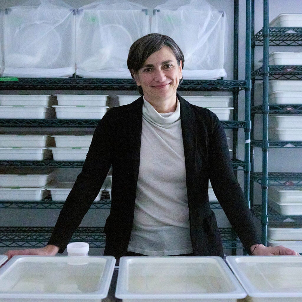 Flaminia Catterccuia in her lab