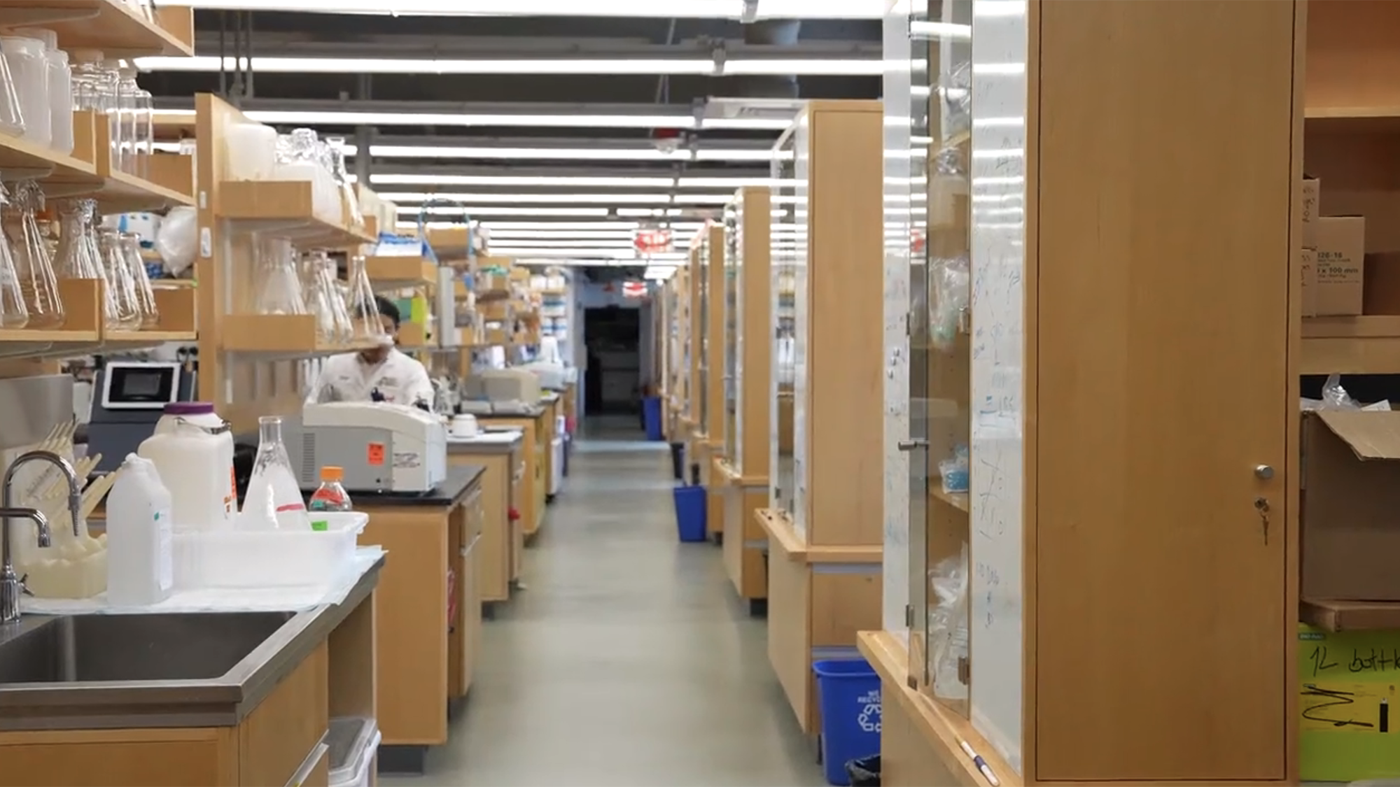 Harvard Chan lab