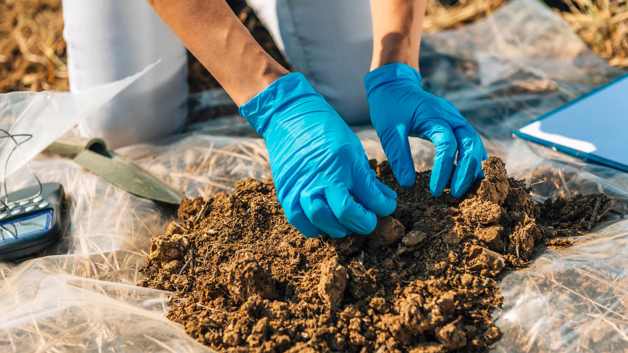 A person kneels on the ground sifting through a pile of soil, while wearing gloves.
