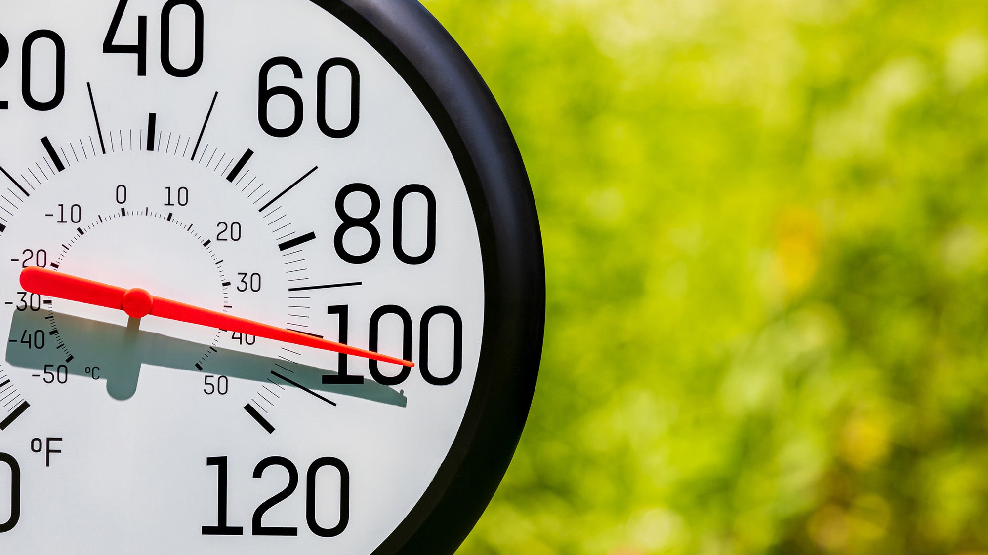 An outdoor thermometer reads 100 degrees.