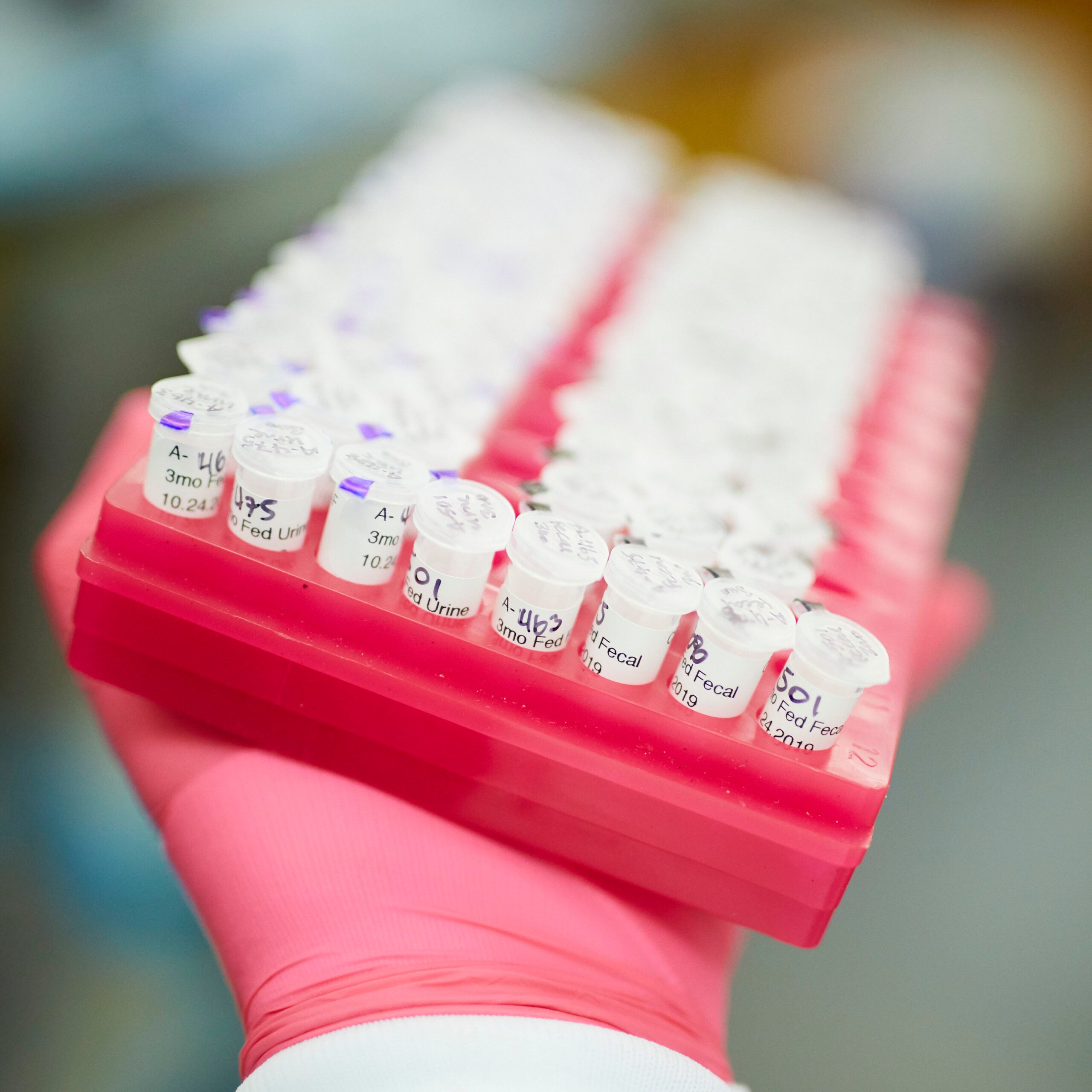 A researcher holds a tray of samples.
