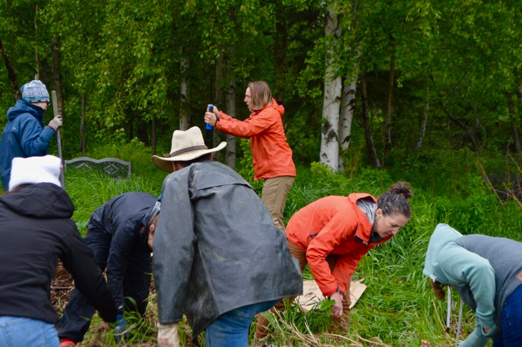Attending a Native Medicinal Conference with the CRNA team, helping identify native plants, discussing progress on community gardens, and learning more about the medicinal properties of local herbs farmers are planting throughout the Alaskan seasons.