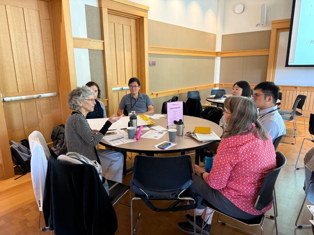 Translational Research Support Core Director Dr. Susan Korrick leads a working group discussion on neurotoxicity.