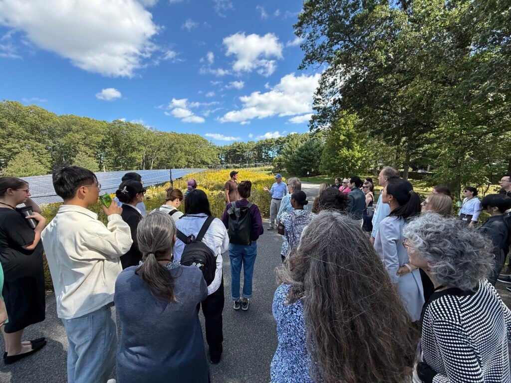 Retreat participants visit the Arnold Arboretum's solar meadow during a lunchtime walk led by Arboretum Director Dr. William (Ned) Friedman (center in blue baseball cap).