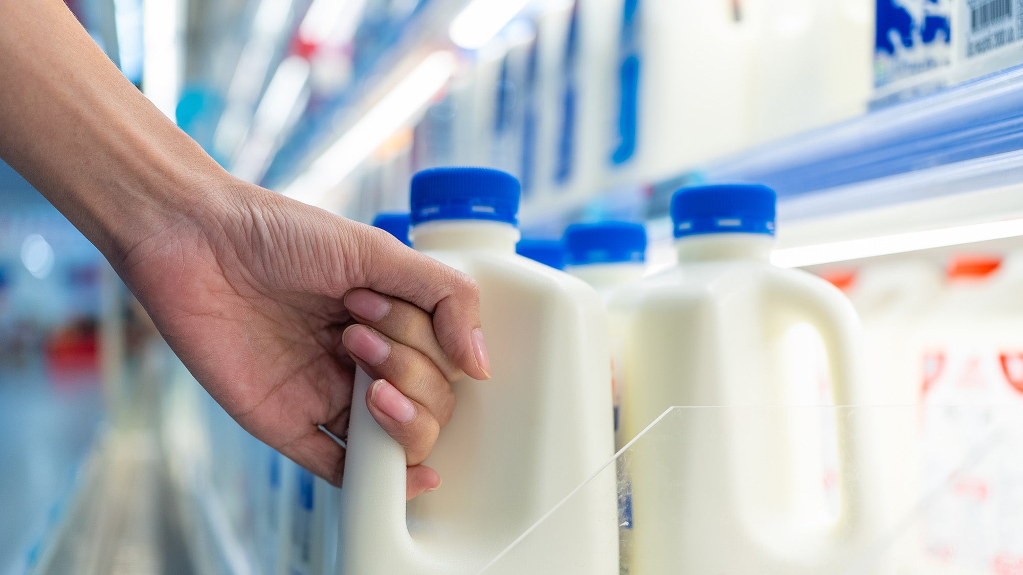 Closeup on a woman's hand grabbing a jug of milk in a grocery cooler.