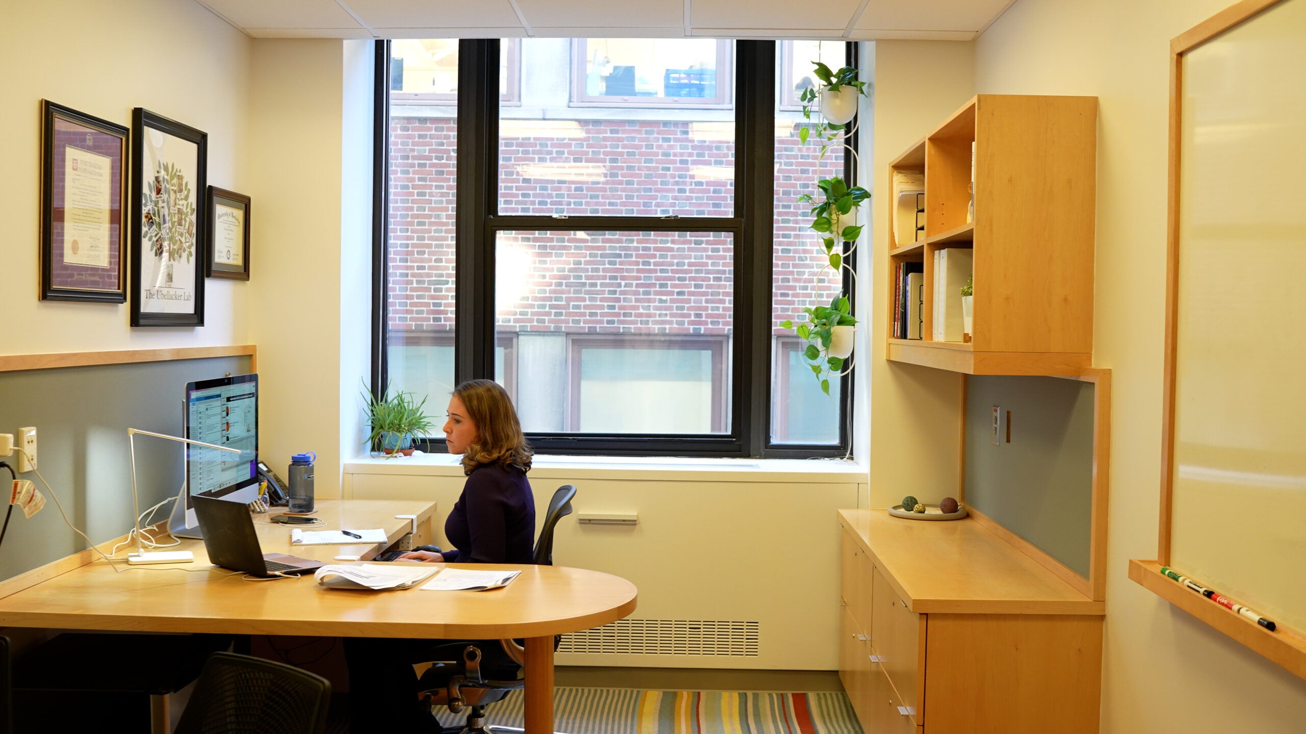 A researcher works at her desk, bathed in golden sunlight.