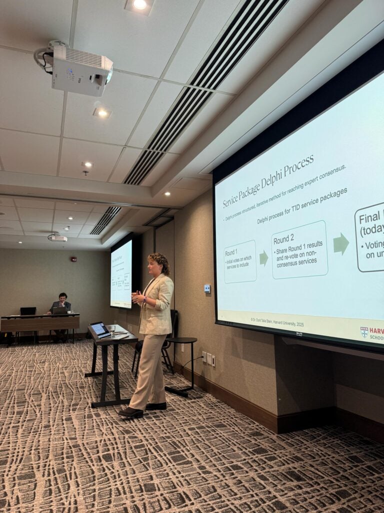 Dorit Talia Stein stands in front of a room, presenting in front of a large screen.