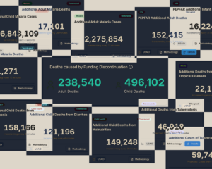 A digital collage displays statistics on child and adult deaths from various diseases due to discontinued funding, with bold numeric data and text boxes overlapping across the image.