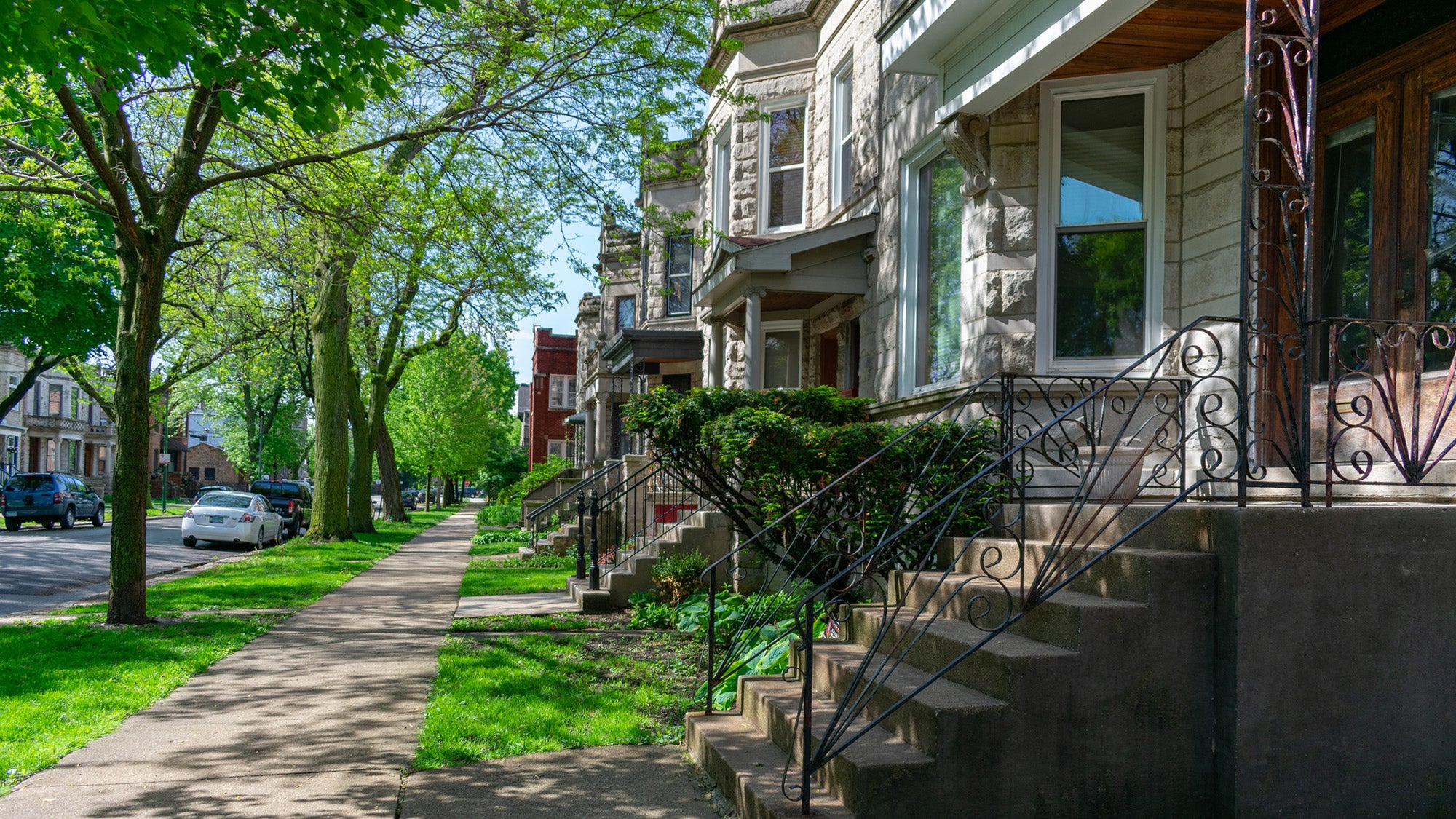 Tree-lined city neighborhood street