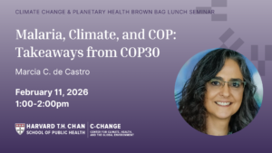 Climate Change & Planetary Health Brown Bag Lunch Seminar - Marcia C. de Castro