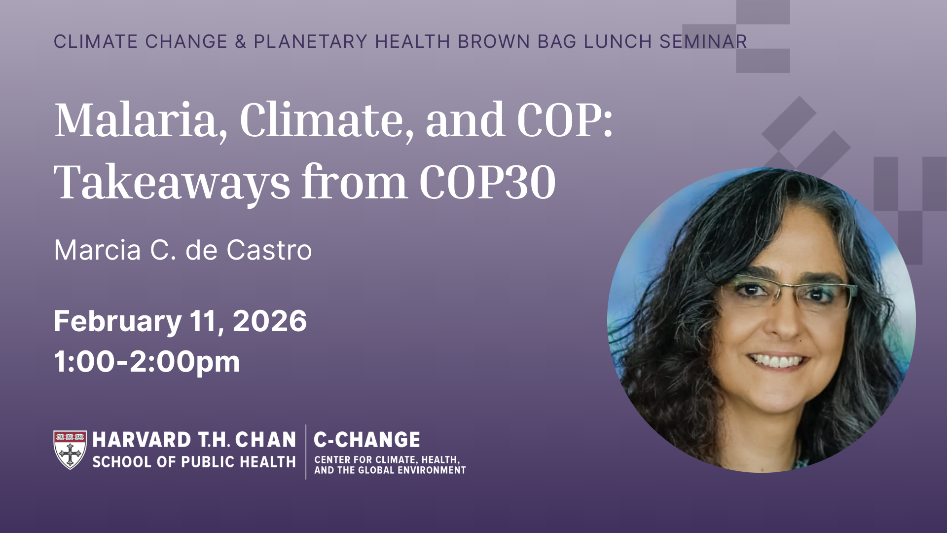 Climate Change & Planetary Health Brown Bag Lunch Seminar - Marcia C. de Castro