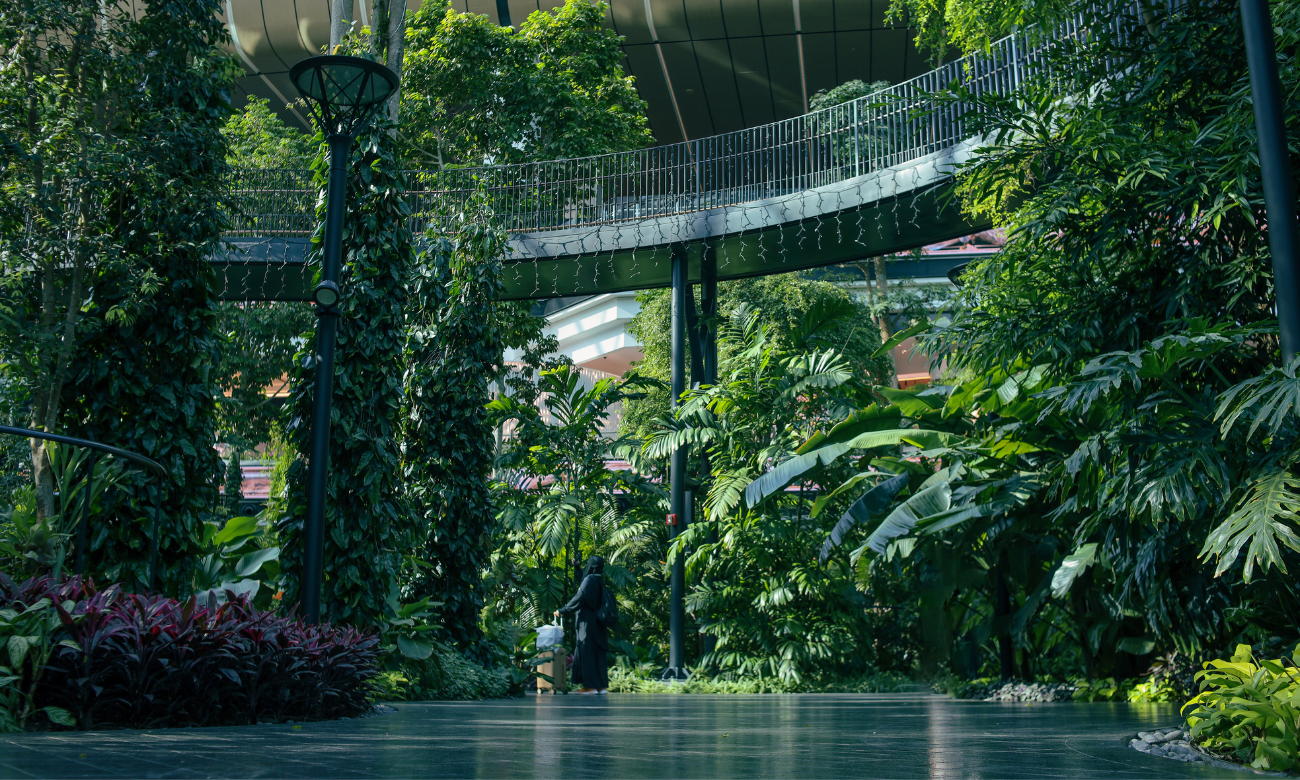 Redesigning Calm Workshop