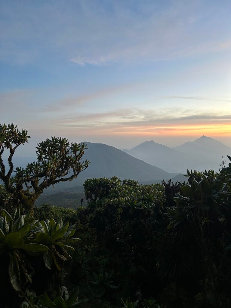 View from Mount Karisimbi at sunrise featuring the four of the five peaks in the Virunga Mountains: (from left to right) Bisoke, Sabinyo, Gahinga, and Muhabura
