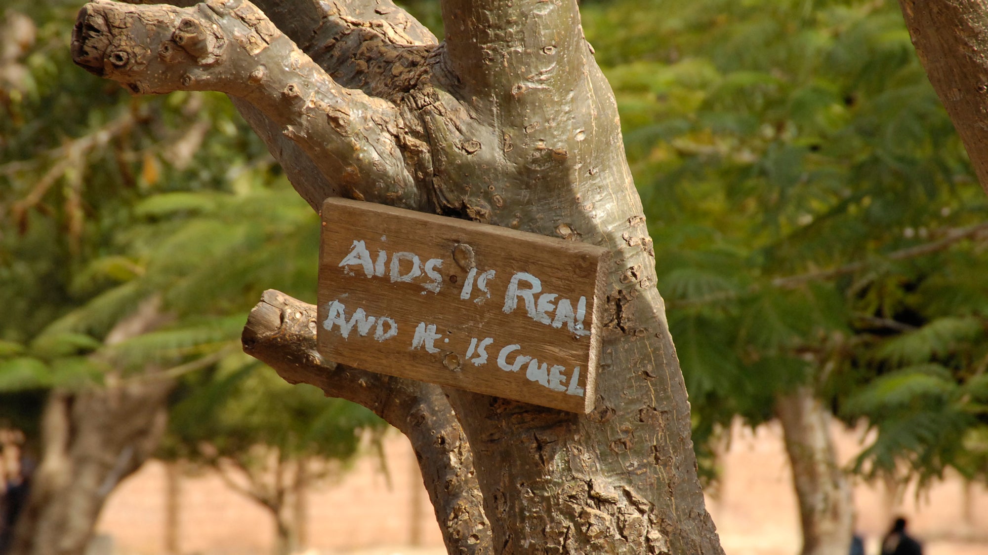 A sign on a tree reads: AIDS is real and it is cruel