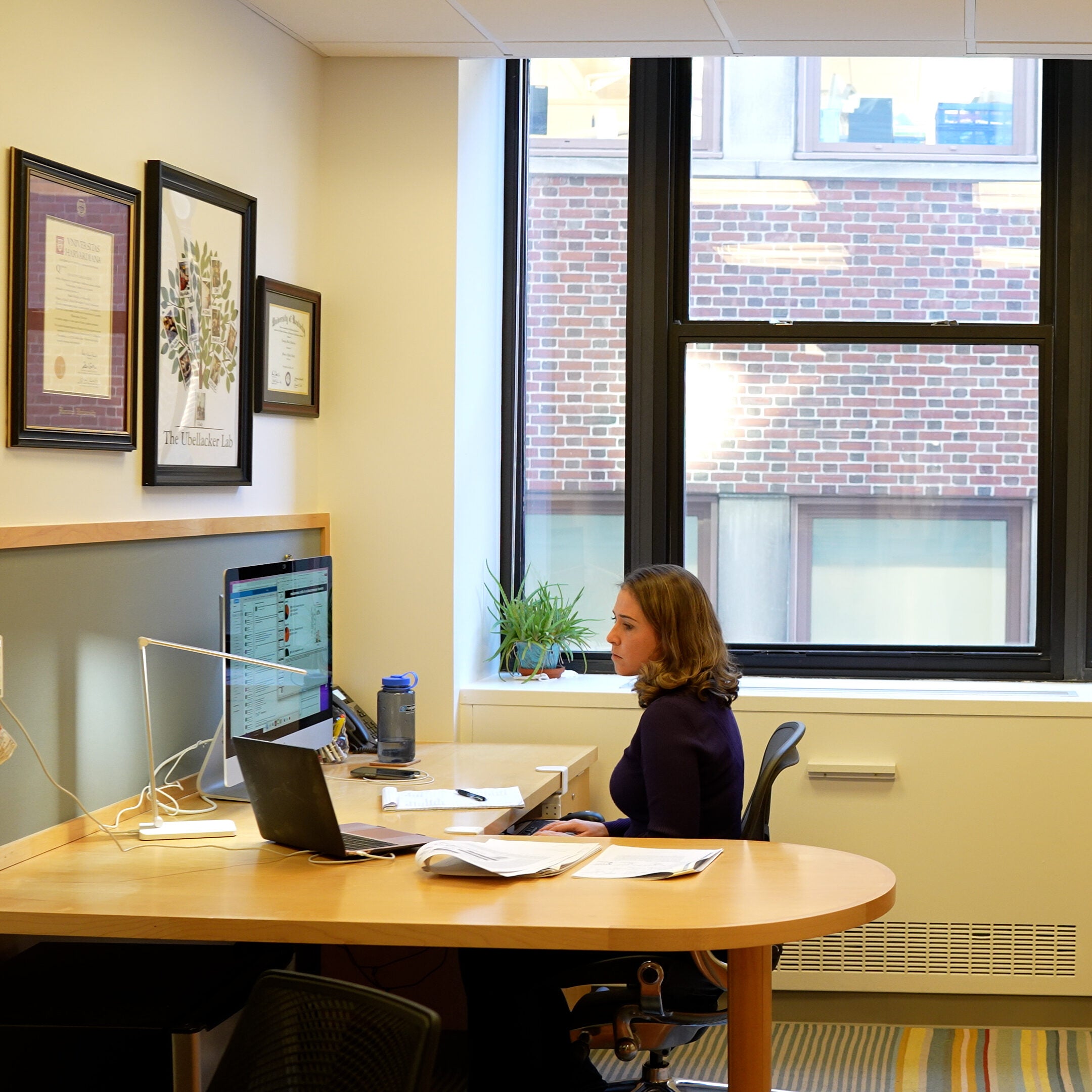 A researcher works at her desk, bathed in golden sunlight.