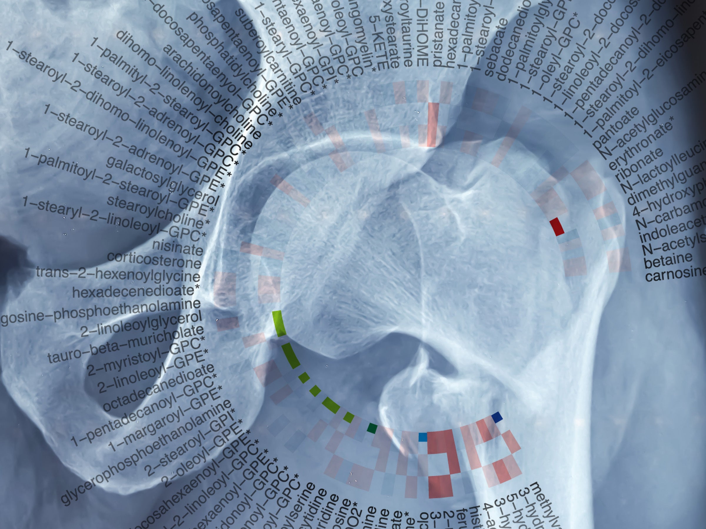 Image of an x-ray showing a hip fracture with an overlay of a graph showing hip fracture risk