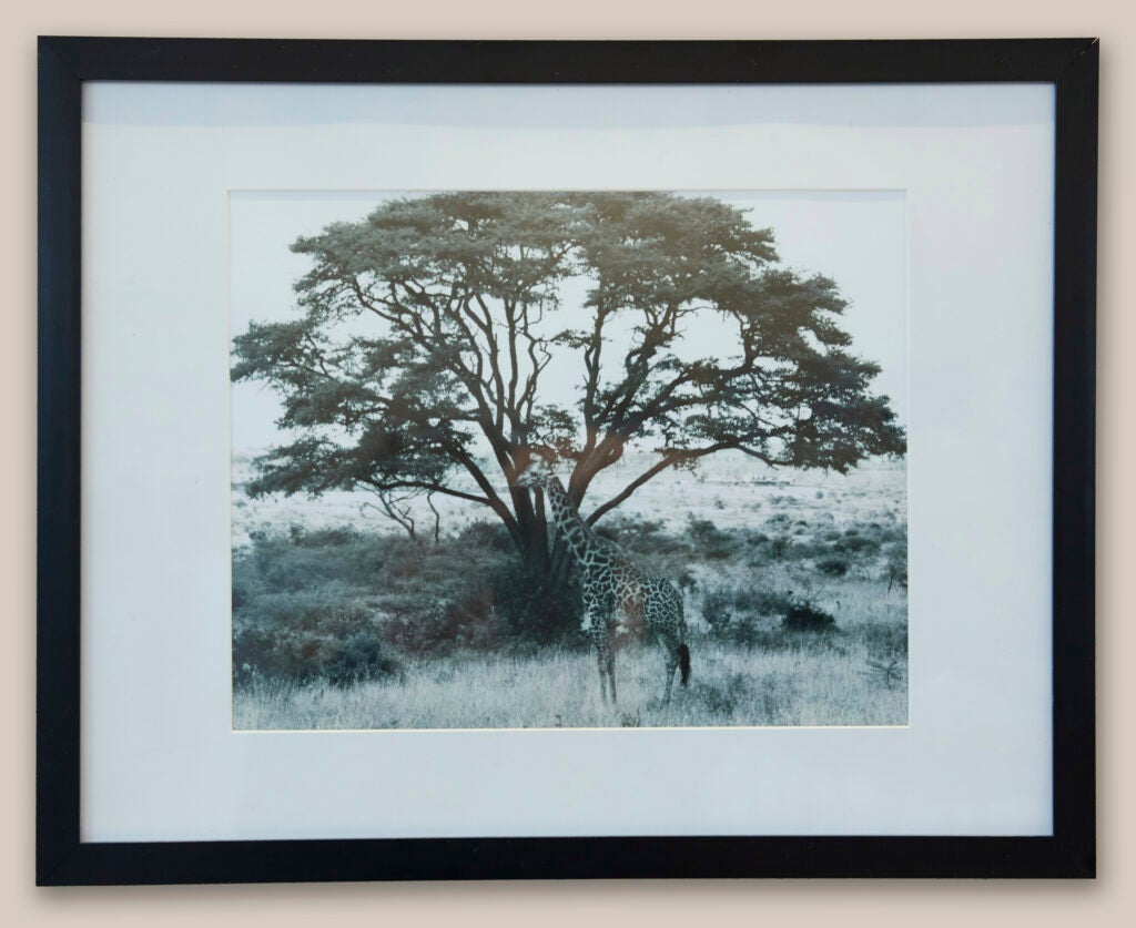 Artwork by Priya Ponnappan. Photo: Kent Dayton / Harvard Chan School