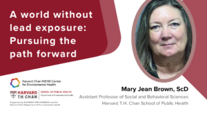 Mary Jean Brown Lecture graphic with headshot and title: A world without lead exposure.
