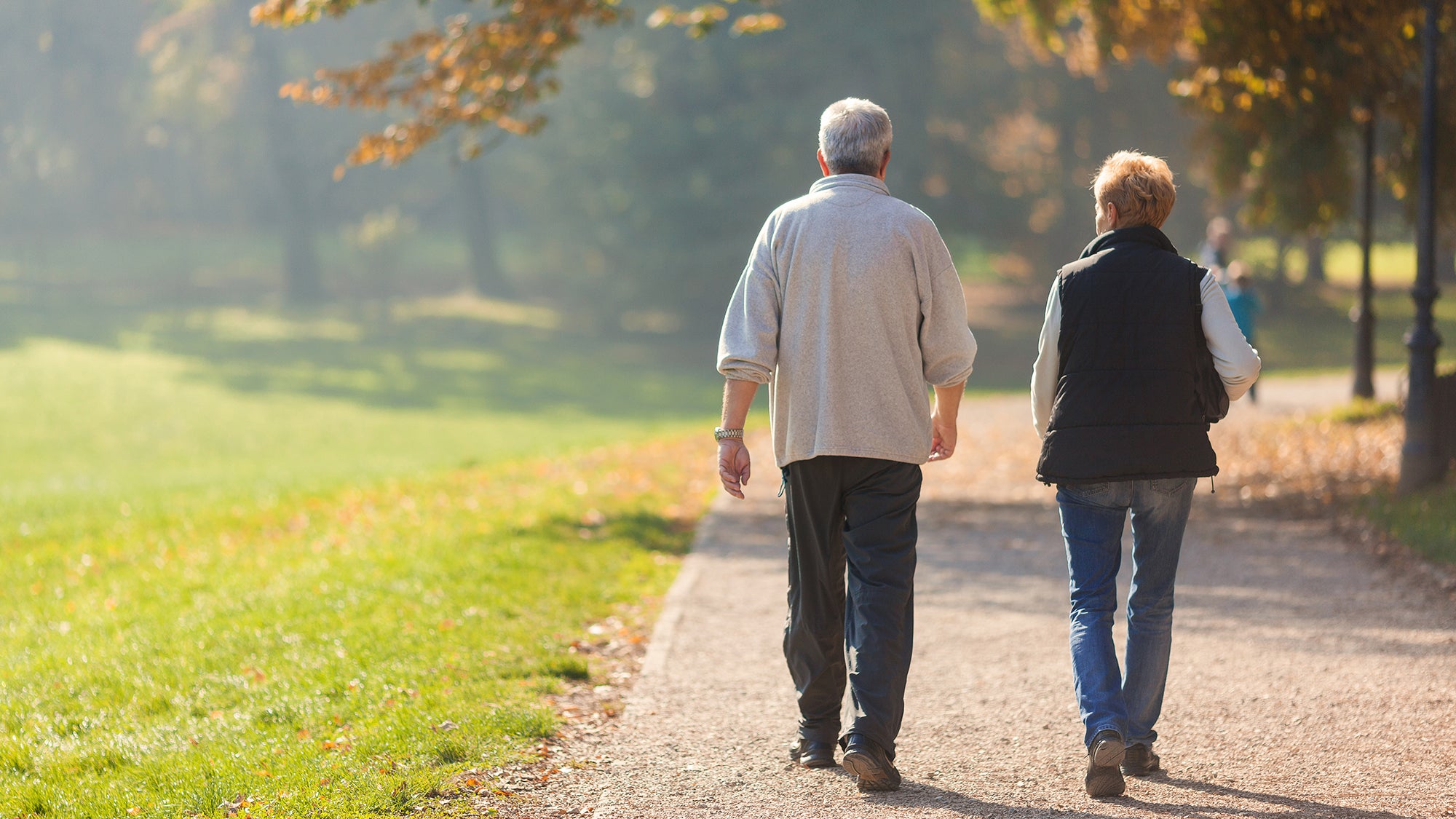 Senior citizen couple taking a walk in a park during autumn morning.