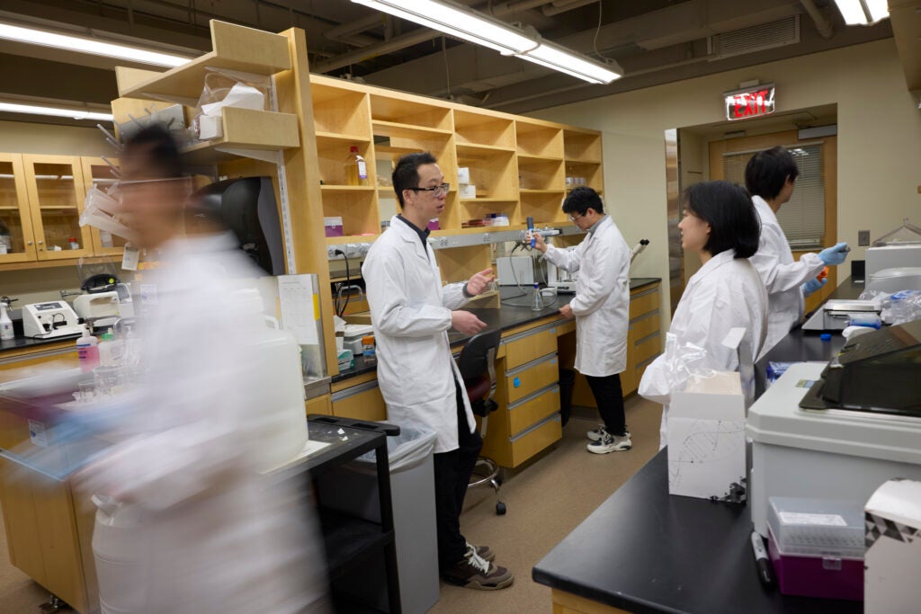 Researchers work at different benches in a biology lab, while one walks out of frame and another consults with the primary investigator.