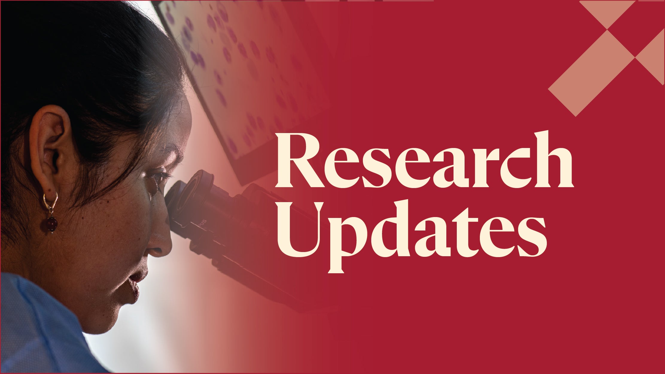Decorative - IID Research Updates