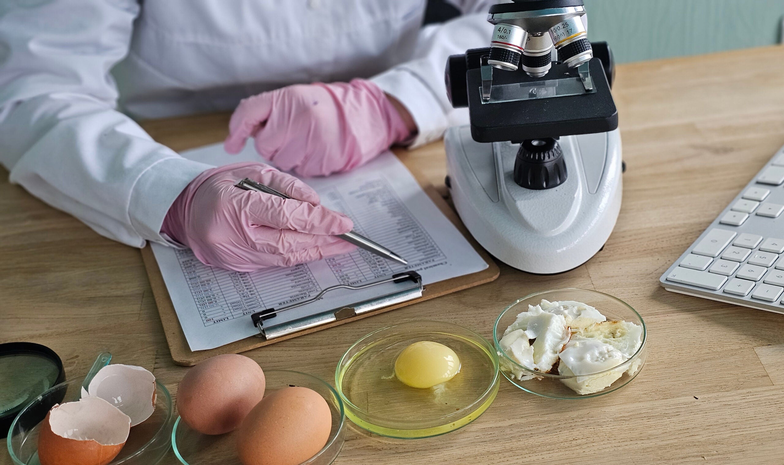 Researcher conducts food analysis in laboratory on eggs and dairy with microscope and data sheet for study on nutrition
