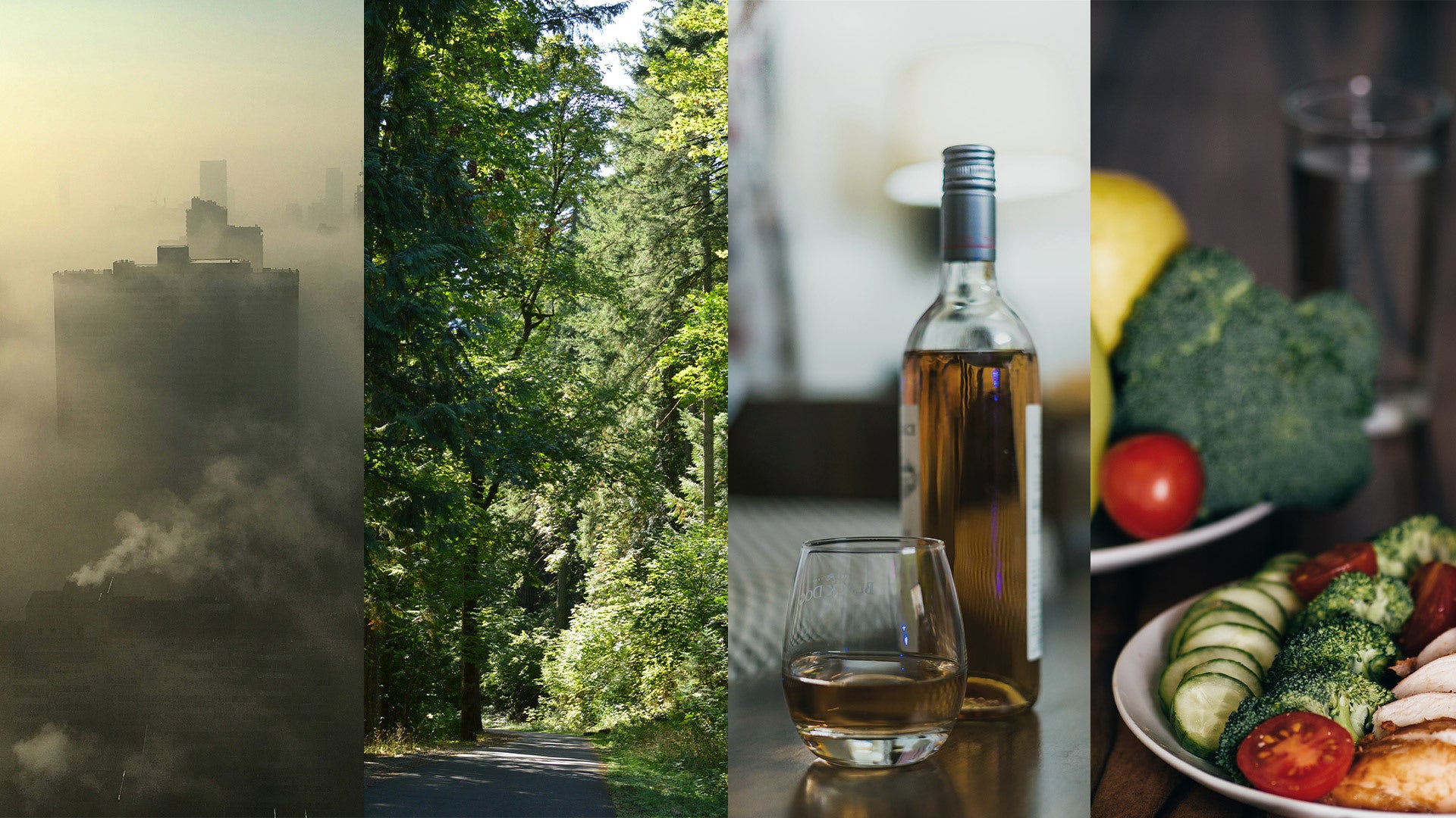 Composite image showing air pollution, forest, bottle and glass with alcohol, and plate with veggies. Photos: Adobe Stock and Unsplash